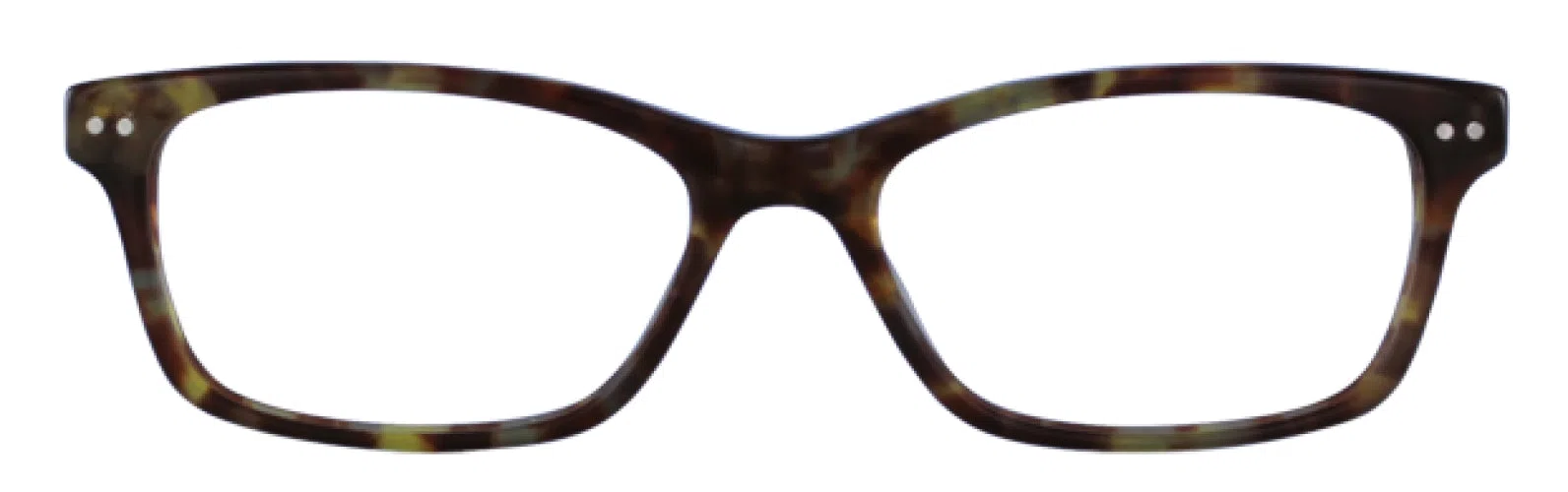 Via Spiga VSIlaria Eyeglasses - view 8